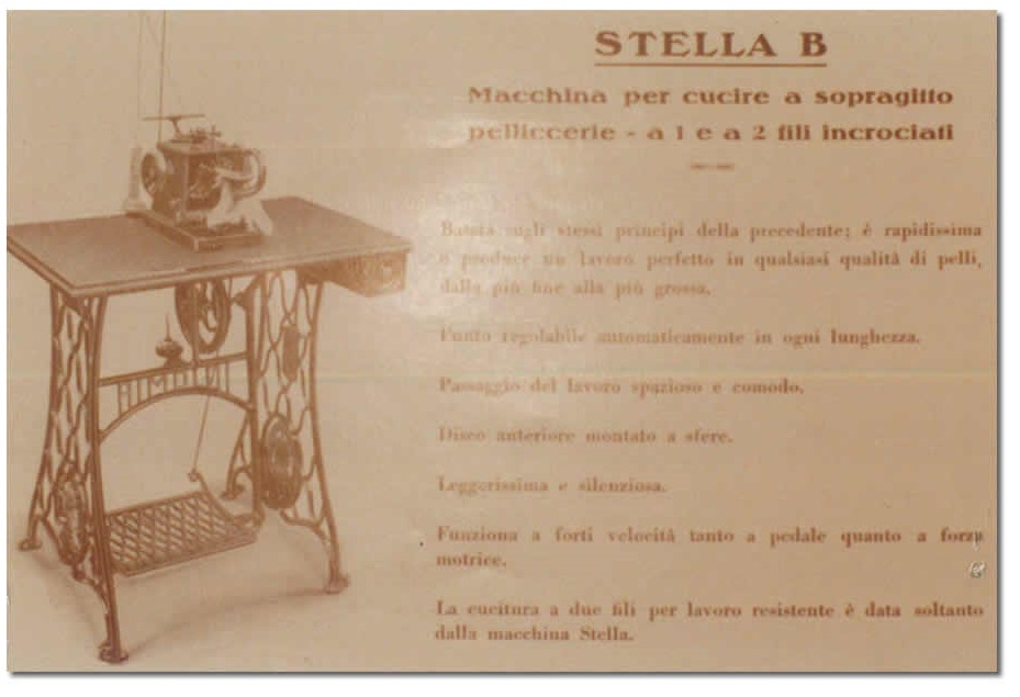 STELLA B